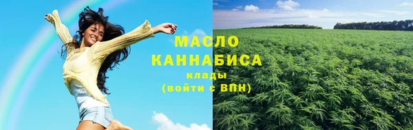 индика Краснотурьинск
