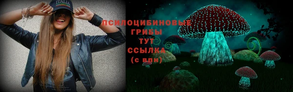 индика Краснотурьинск