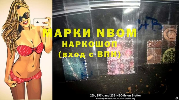 индика Краснотурьинск