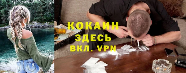 индика Краснотурьинск