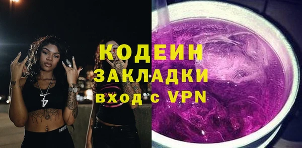 индика Краснотурьинск