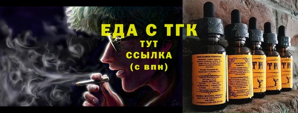индика Краснотурьинск