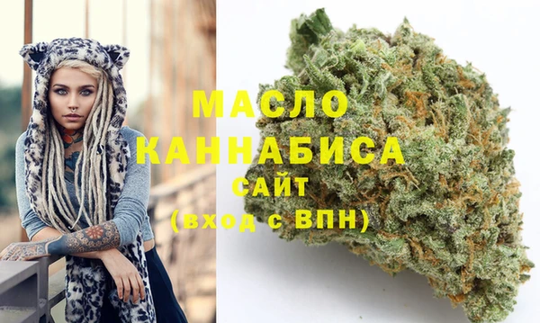 индика Краснотурьинск