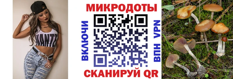 Галлюциногенные грибы ЛСД  Купить где  Плёс 
